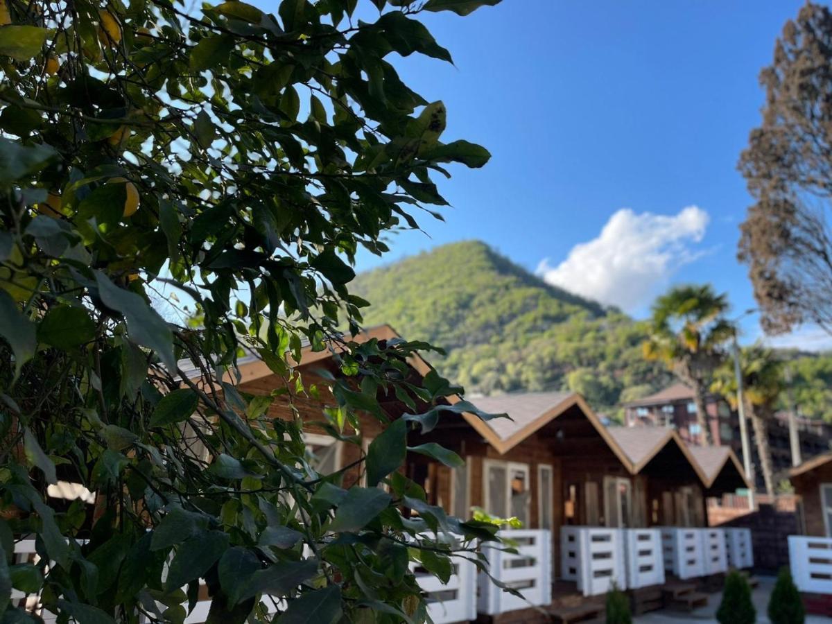 Гостевой Комплекс Парус Hotel New Athos Kültér fotó